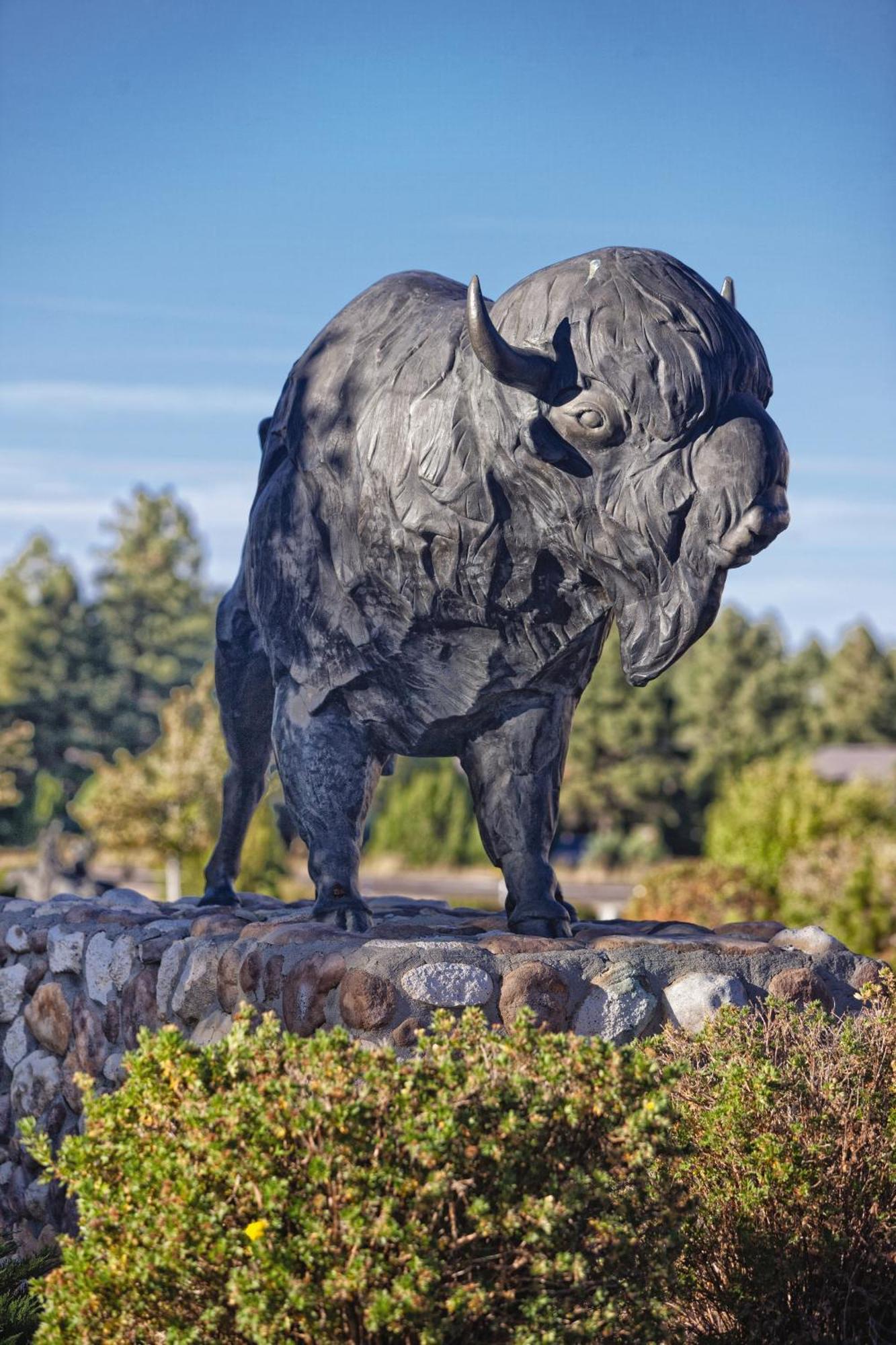 Worldmark Bison Ranch Overgaard Zewnętrze zdjęcie